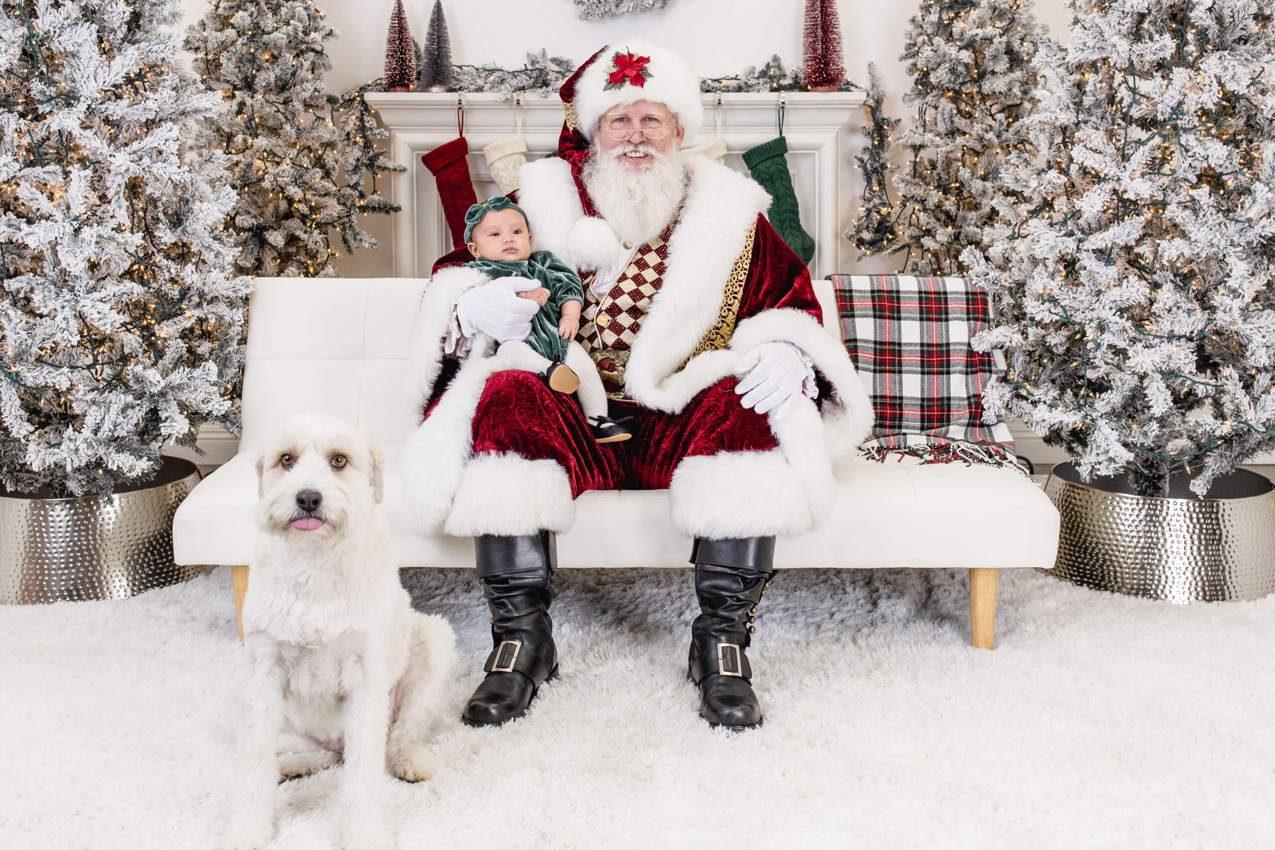 Santa Claus sits on a white couch holding a baby, with a white dog sitting on the floor in front of them. The background features snowy Christmas trees and festive decor.